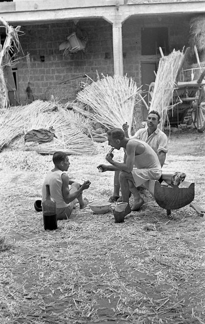 ZPRACOVÁNÍ KONOPÍ, SNÍDANĚ V PRÁCI od Ando Gilardi