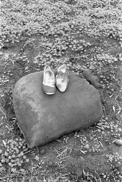 BOTY Z RACCOGLITRICE OLIV od Ando Gilardi