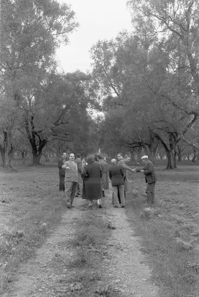 ODBORÁŘI V OLIVOVÉM HÁJI od Ando Gilardi