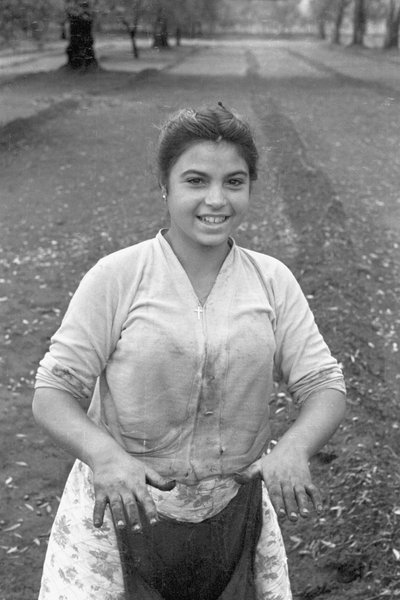 MLADÝ SBĚRAČ OLIV od Ando Gilardi