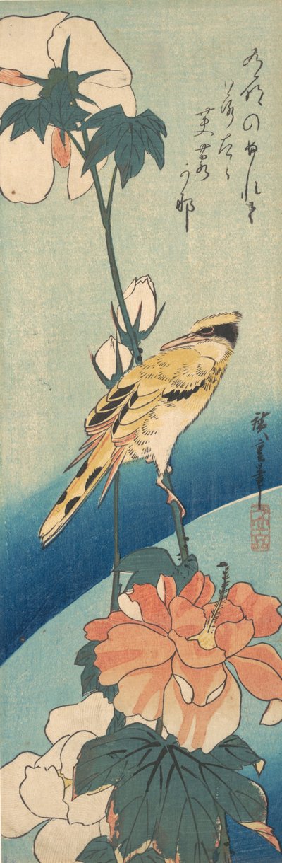 Žluva černohlavá na stonku slézu růže, ca. 1834, ca. 1834. od Ando Hiroshige