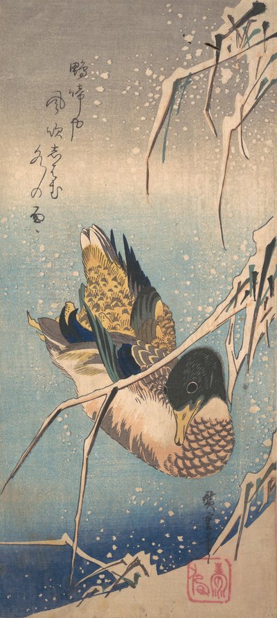 Divoká kachna poblíž zasněženého pobřeží, ca. 1843, ca. 1843. od Ando Hiroshige