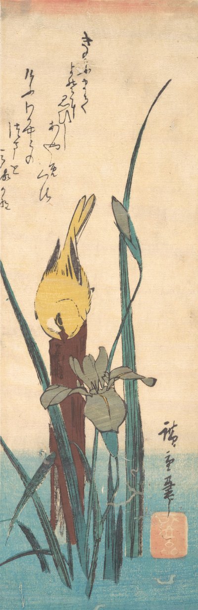 Pták a Iris. od Ando Hiroshige