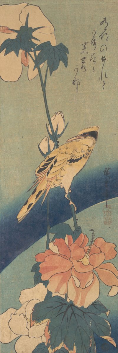 Žluva černohlavá posazená na stonku slézu růže, ca. 1834, ca. 1834. od Ando Hiroshige