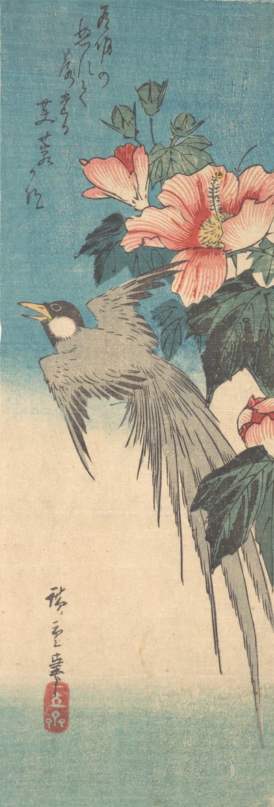 Hibiscus Mutabilis a dlouhoocasý pták, ca. 1842, ca. 1842. od Ando Hiroshige