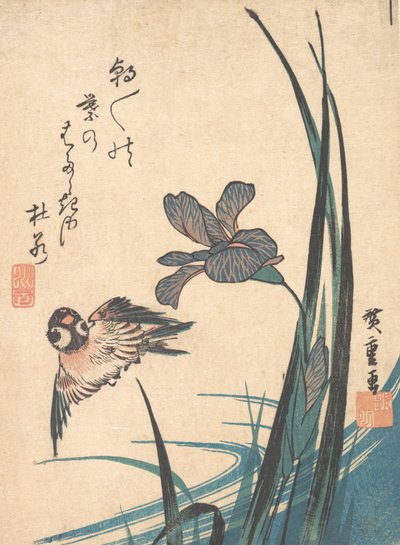 Iris a Sparrow, ca. 1832, ca. 1832. od Ando Hiroshige
