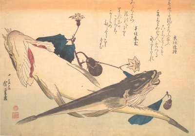 Kochi Fish with Lilek, ze série Uozukushi Every Variety of Fish, 30. léta 19. století, 30. léta 19. století. od Ando Hiroshige