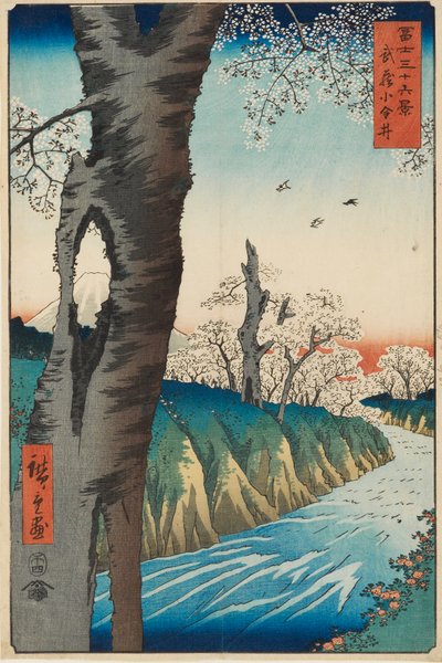 Koganei v provincii Musashi, navržený 1858, publikován 1858-1859 od Ando Hiroshige