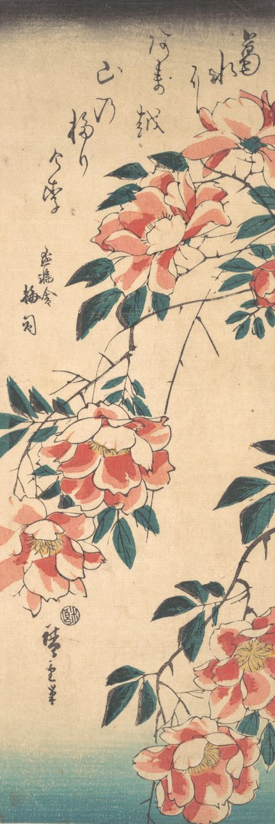 Růže, ca. 1843, ca. 1843. od Ando Hiroshige
