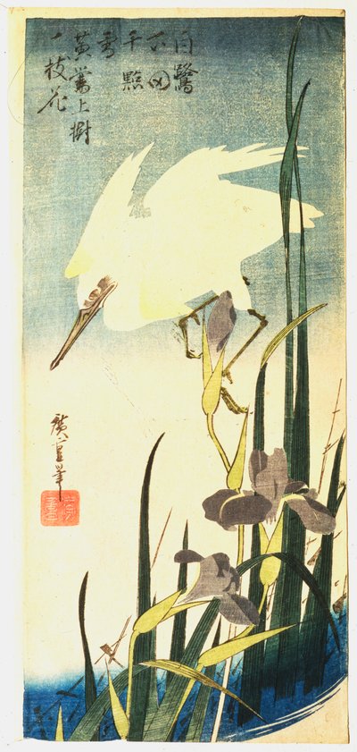 Bílá volavka a kosatce, 1833 od Ando Hiroshige