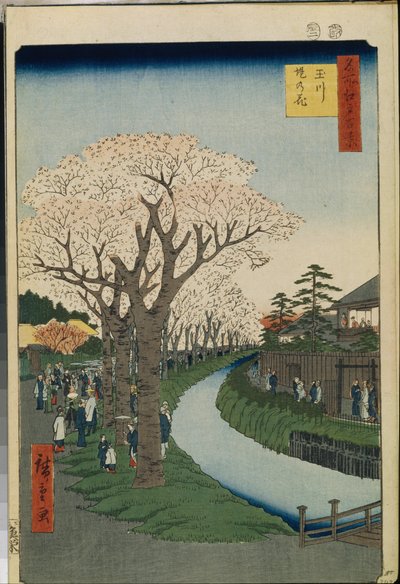 Cent vues celebres d"Edo: Třešňové květy na břehu řeky Tama od Ando or Utagawa Hiroshige