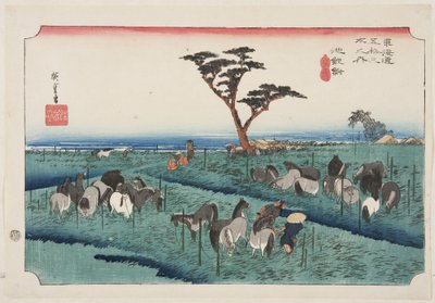 Chiry?: Early Summer Horse Fair (Chiry?, shuka uma ichi) (barevný dřevotisk) od Ando or Utagawa Hiroshige