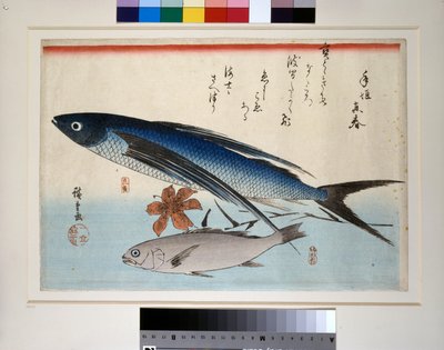 Létající ryby, ryby ishimochi a lilie od Ando or Utagawa Hiroshige