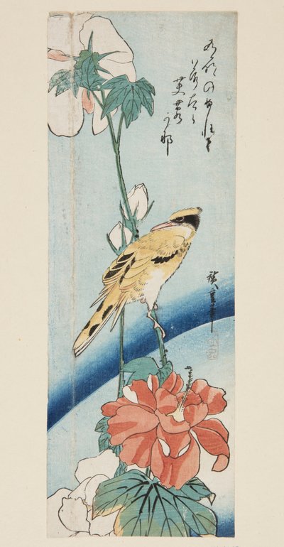 Ibišek a žluva černatá (barevný dřevotisk) od Ando or Utagawa Hiroshige