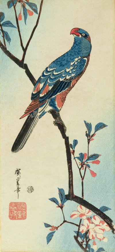 Papoušek na větvi (dřevořez) od Ando or Utagawa Hiroshige