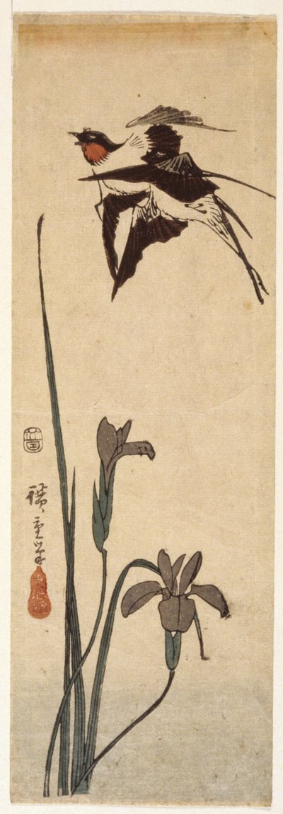 Vlaštovky a kosatec (barevný dřevořez) od Ando or Utagawa Hiroshige