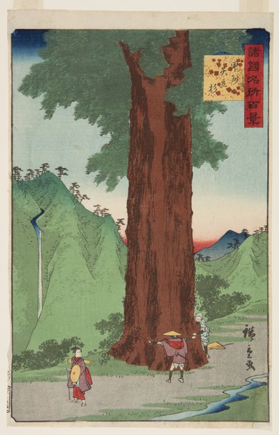 Cedrový strom Yatate v provincii Kai (K?sh? Yatate sugi) (barevný dřevěný tisk) od Ando or Utagawa Hiroshige