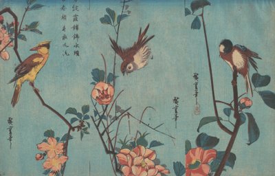 Sýkora a kamélie, vrabec a divoké růže a žluva a třešňové květy, kolem roku 1833 (dřevotisk) od Ando or Utagawa Hiroshige