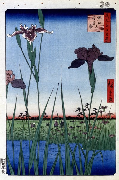 Vodní kosatec - japonský tisk Utagawa Hiroshige. Sto pohledů na Edo od Ando or Utagawa Hiroshige