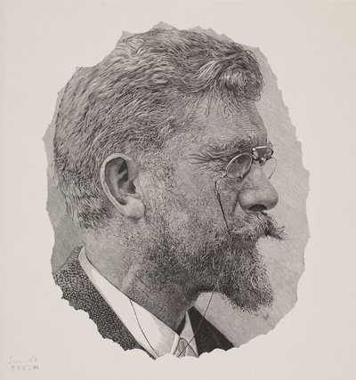 p.s. Krøyer od André Bork