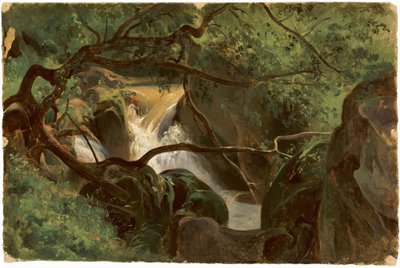 Lesní interiér s vodopádem, Papigno, 18251830. od André Giroux