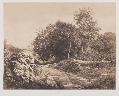 Bez názvu (Scene of Fontainebleau) od André Giroux