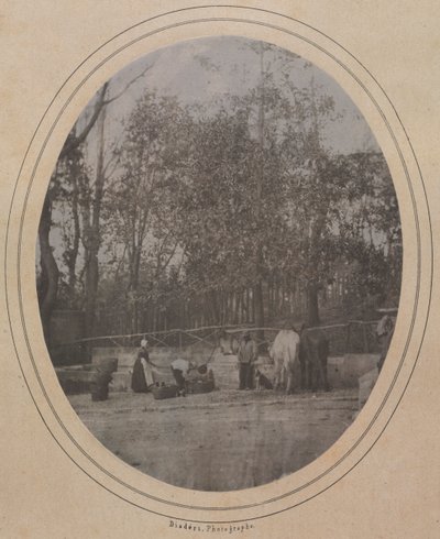 Vesnická scéna (jižní Francie) od Andre Adolphe Eugene Disderi