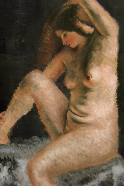 Krásný model od Andre Derain