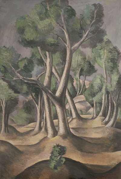Háj od Andre Derain
