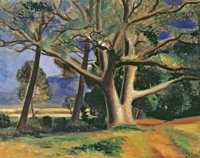 Velký strom, asi 1929-30 (olej na plátně) (viz také 287578) od Andre Derain