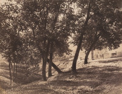 Stromy,c. 1855 (foto) od André Giroux