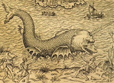 Mořská příšera, rytina z Universal Cosmology, Andre Thevet (1504-1592), Paříž od Andre Thevet