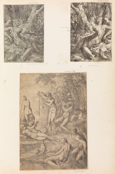 Nymfy Koupání, možná ca. 1545-50. od Andrea Schiavone