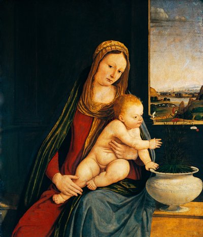 Madona s dítětem nebo Madona z karafiátů od Andrea Solario