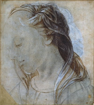 Ženská hlava (kresba) od Andrea Verrocchio