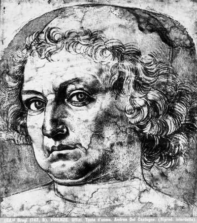Mans head, nebo portrét Andrea del Verrocchio, c.1450 od Andrea del Castagno