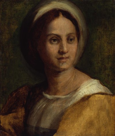 Portrét mladé ženy od Andrea del Sarto