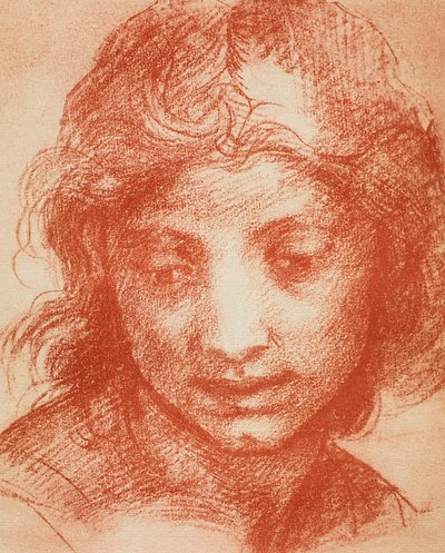 Hlava chlapců od Andrea del Sarto
