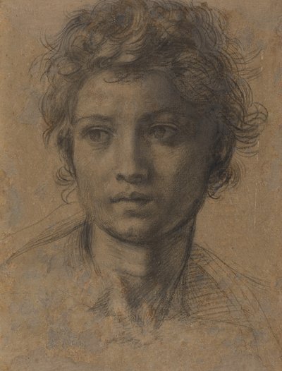 Hlava svatého Jana Křtitele od Andrea del Sarto