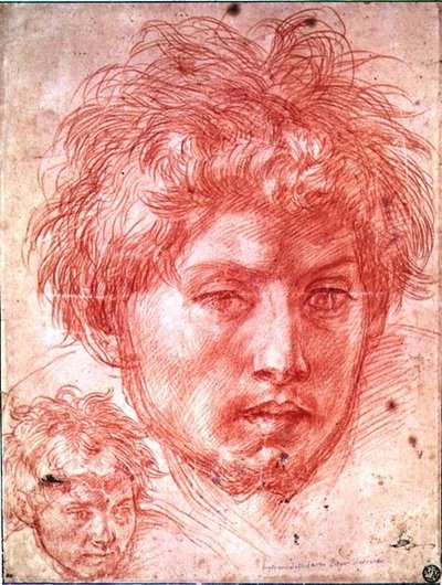 Hlava muže (červená křída na papíře) od Andrea del Sarto