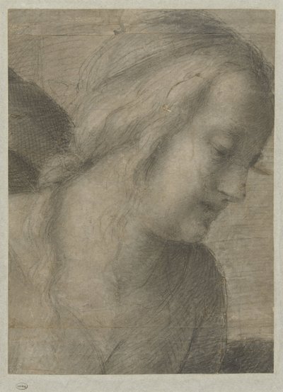 Hlava Marie v adoraci od Andrea del Sarto