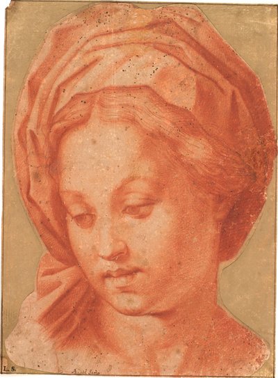 Borghese Madonna od Andrea del Sarto