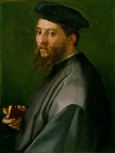 Portrét muže od Andrea del Sarto
