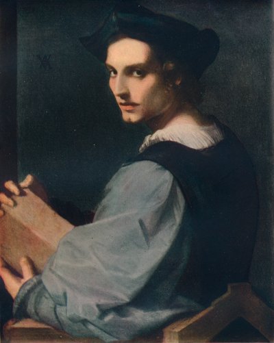 Portrét mladého muže, c1517, 1911 od Andrea del Sarto