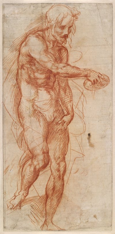 Studie svatého Jana Křtitele, asi 1518 od Andrea del Sarto