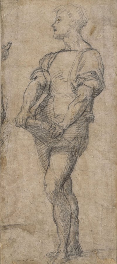 Stojící mladík držící knihu, cca 1515 od Andrea del Sarto