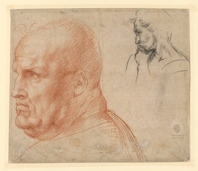Studie dvou hlav od Andrea del Sarto