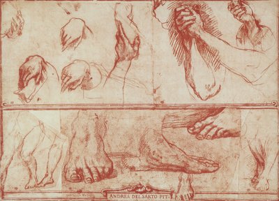 Studium rukou a nohou pro Poslední večeři San Salvi od Andrea del Sarto