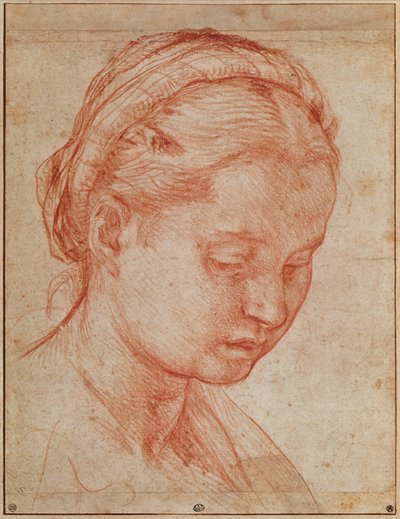 Studie hlavy sv. Kateřiny k uložení s Pannou Marií a svatými v paláci Pitti, 1523-24 (červená křída na papíře) (viz 379730) od Andrea del Sarto