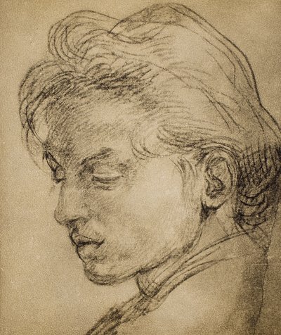 Mužská hlava v profilu od Andrea del Sarto